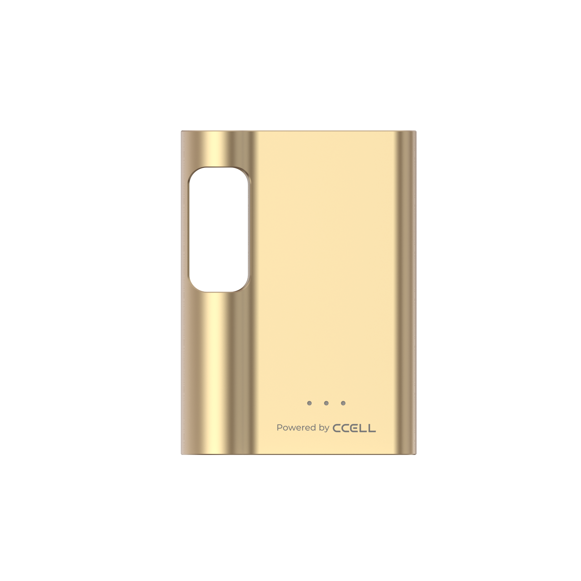 Palm SE
